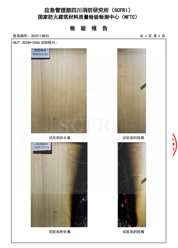 燃烧性能检测报告