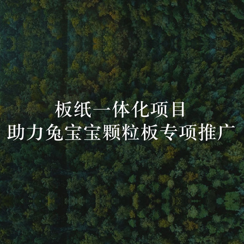 板纸一体化项目，助力w66利来国际颗粒板专项推广