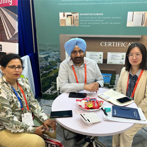 w66利来国际亮相拉斯维加斯展会，以“硬科技+强品牌”破圈出海