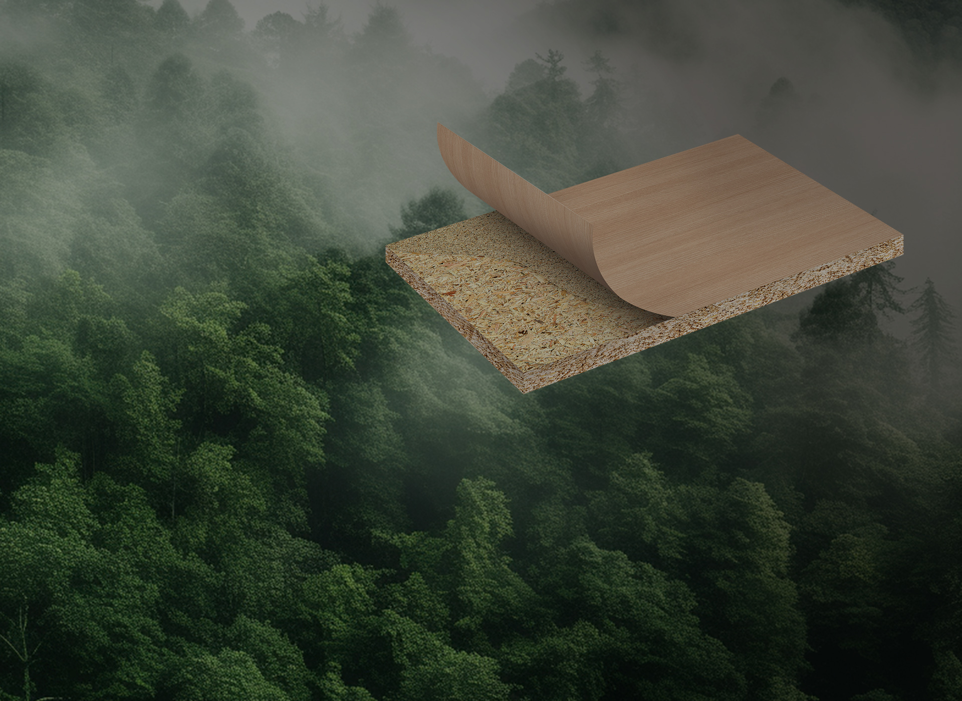 严选原材  质量把关